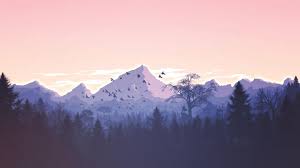 101 hd laptop wallpaper free download, nature wallpapers for laptop. Nature Aesthetic Desktop Wallpapers Wallpaper Cave