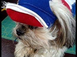 Simple Diy Tutorial On How To Dog Baseball Visor Hat Diy Dog Stuff Dog Hats Dog Hat Pattern