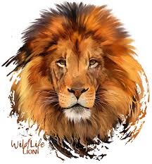 You can use these free icons and png images for your photoshop design, documents, web sites, art projects or google presentations, powerpoint templates. Lion Png Download Image Png Arts