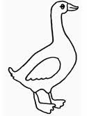 Free download 39 best quality canada goose coloring page at getdrawings. Goose Coloring Pages