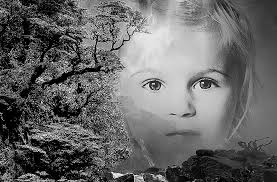 Vincent te Nijenhuis