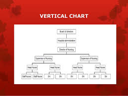 25 uncommon vertical organisation chart