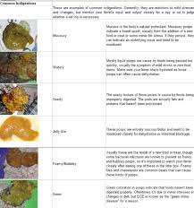 The Raw Ferret Poop Chart The Holistic Ferret Forum