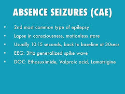 Image result for Absence Seizure