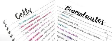 How do i make notes look aesthetic? How To Make Aesthetic Notes A Beginner S Guide With Pictures