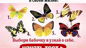 какого числа родился человек такая у него и вся жизнь Kakogo Chisla Rodilsya Chelovek Takaya U Nego I Vsya Zhizn Pofu Ru Vsyo Obo Vsyom Psihologiya Zhizn I Numerologiya
