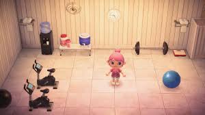 Pin By Konakona95 On Animal Crossing Inspo In 2020 Animal Crossing Ball Exercises Dyson Vacuum
