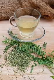 Image result for Athrixia phylicoides