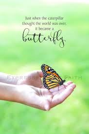 Just When The Caterpillar Thought The World Was Over It Became A Butterfly Inspirational Butterfly Quotes Monarch Butterflies Photography Butterfly Wall Art