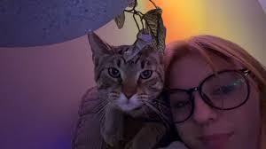 My father's bike was stolen this morning about 750 this morning. White male  Bengal hoodie, Bengals hat, scooped my house, and then came back and stole  it from my property.! Anybody recognizes