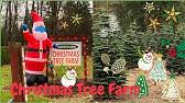 This season, the most popular will be a. Stew Leonard S At The Christmas Tree Farm Youtube