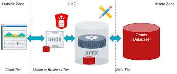 oracle apex the low code and low cost application middle