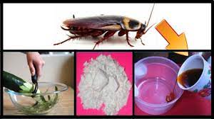 How do roaches get inside your home? Pin On How To Get Rid Of Cockroaches Permanently And Fast In Kitchen Cabinets