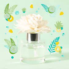 Aloe Water Cucumber Dahlia Darling Fragrance Flower 16 Scentsy Club 10 Off On Orders Over 30 In 2020 Scentsy Scentsy Fragrance Holiday Fragrance