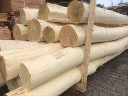 Over the time it has been ranked as high as 1 082 099 in the world, while most of its traffic comes from germany, where it reached as high. Robinie Rundholz 21 25 Cm Holz Wohnen Garten De