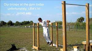 Home Made Parallel Bars Calisthenics Outdoor Gym Male Gymnast