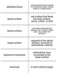 Pin On Vocabulary