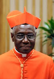 Is Cardinal Sarah the man to save the Church as the next pope?