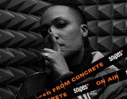 Snipes Projects :: Photos, videos, logos, illustrations and branding ::  Behance