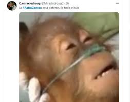 Nada en la medicina es completamente seguro e incluso se usan terapias altamente tóxicas en circunstancias determinadas. Mayores De 30 Sufrieron Por Efectos Secundarios De Astrazeneca Y Se Desataron Los Memes Infobae