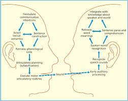 Psychological science online bestellen bij donner! Https Tu Dresden De Mn Psychologie Allgpsy Ressourcen Dateien Lehre Lehreveranstaltungen Goschke Lehre Ss2013 Folder 2013 04 15 9955666685 Vl10 Sprache I Pdf