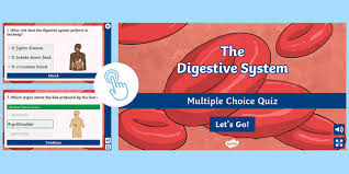 This is the job of the digestive system: Interactive Ks2 Digestive System Quiz Twinkl Go