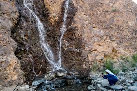 محل رقم 1 ، الطابق الأرضي، البناية رقم 52 ، شارع خورفكان الفجيرة، منطقة مربح، إمارة الفجيرة., uae. Ø¨Ø§Ù„ØµÙˆØ± Ø§ÙØªØªØ§Ø­ Ø­Ø¯ÙŠÙ‚Ø© Ø´ÙŠØµ Ù„Ù„Ø²ÙˆØ§Ø± ÙÙŠ Ø®ÙˆØ±ÙÙƒØ§Ù†