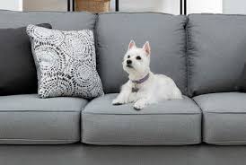 Sometimes water is enough to get fresh blood out entirely. How To Clean A Fabric Couch A Step By Step Guide Living Spaces