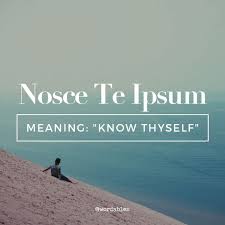 9 Of The Best Latin Phrases With Beautiful Meanings Latin Phrases Latin Quotes Language Quotes