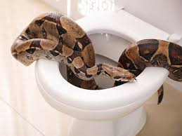 Write and run python code using our python online compiler & interpreter. 5wmixord4kxcxm