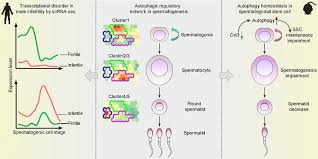 Wallace chung, li xiao ran, wayne wang genres: Volume 11 Issue 10