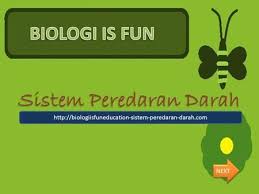 Sistem Peredaran Darah Biologi Pernafasan Buku