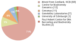 Image result for Moraea verdickii