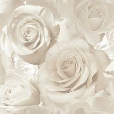 Its whimsical flowers and delicate nature make this wallpaper perfect for a nursery or powder room. Madison Rose Glitter Floral Wallpaper Pearl And Cream Muriva 139524