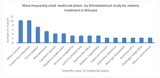 Image result for Peponium vogelii