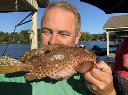 Down the Bayou Charters