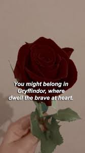 Gryffindor Aesthetic Wallpapers Top Free Gryffindor Aesthetic Backgrounds Wallpaperaccess That is why, we have gathered the most gorgeous examples of an aesthetic wallpaper to grace your phone. gryffindor aesthetic wallpapers top