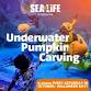 Underwater Pumpkin Carving at SEA LIFE Grapevine event image