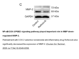 Image result for Rofecoxib