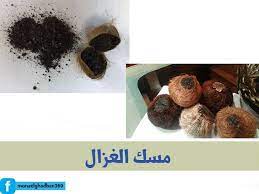 يستخدم بخور الصندل في المساجد والكنائس بكثرة لأن الرائحة العطرية التي تنبعث من احتراق البخور قريبه للروح وتزيد الشعور ب in 2021 health facts food food organic health