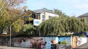 Thank you for helping me find a treatment for my much loved pet. Animal Medical Centre Launceston Vet 24 7 Veterinary Clinic