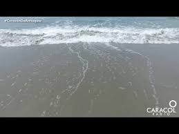 Encuentra información sobre turismo en necocli y lee opiniones sobre actividades, atracciones, restaurantes y hoteles. Las Playas De Necocli Quedaran A 5 Horas De Medellin Medio Solo Paisas