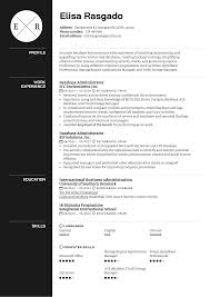 Database Administrator Resume Example Kickresume