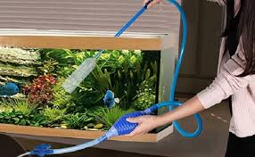 Những điều cần biết về thay nước bể cá cảnh - Bể cá cảnh Mạnh Tuấn