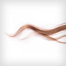 Either way, chances are you've heard of wen, the cleansing conditioner developed by celebrity hairstylist chaz dean. Thin Hair Is Stronger Than Thick Hair Study Shows
