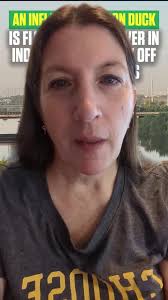 Pigeon River Pups Indiana