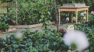 Panda garden is a chinese immersion daycare that provides music, dance, yoga, crafts, play time in a large backyard, trips to the library and nearby playgrounds. 4 Steps To Creating Your Own Edible Garden Architectural Digest