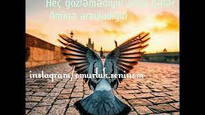 Maybe you would like to learn more about one of these? Qemli Ve Menali Yazili Sekiller 2017 Suleyman Nifteliyev Gel Ki Youtube