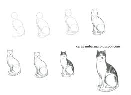 Menggambar Kucing Menggambar Dan Mewarnai