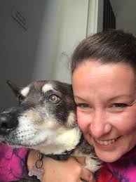 Adopting a gentle 11-year-old dog in Florida